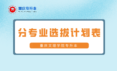 重庆文理学院专升本分专业选拔计划表